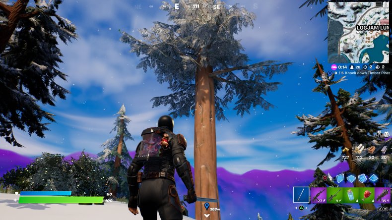 Timber Pines in Fortnite Fortnite Timber Pine